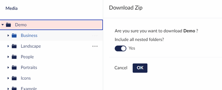 Download Zip Dialog
